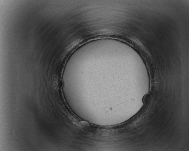 X0000052610873200507160035