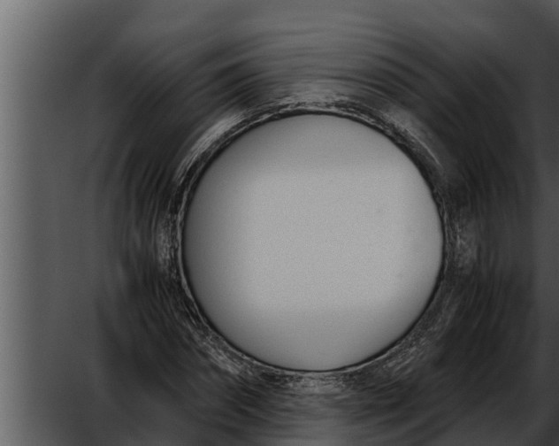 X0000052610874200507160034