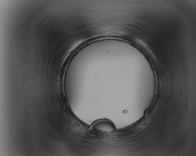 X0000052610875200507160034