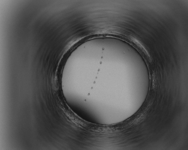 X0000052610876200507160034