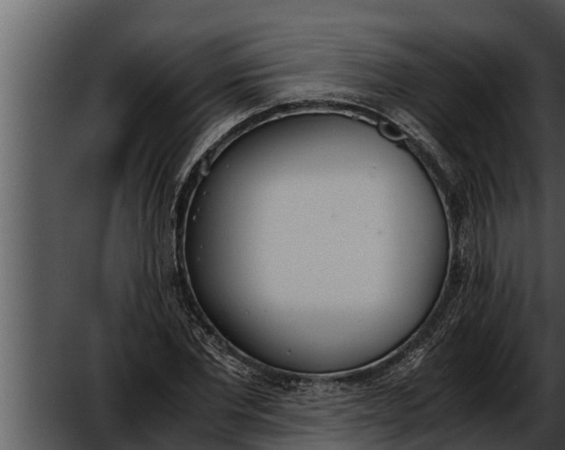 X0000052610877200507160034