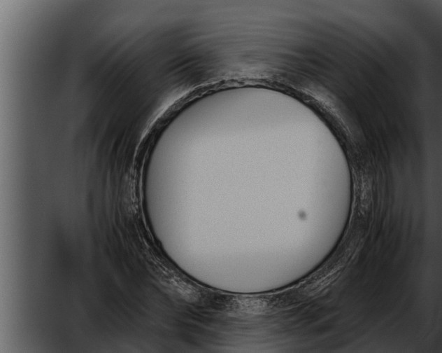 X0000052610878200507160034