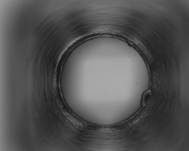 X0000052610880200507160034