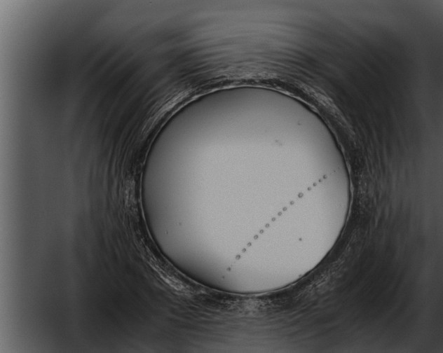 X0000052610881200507160034