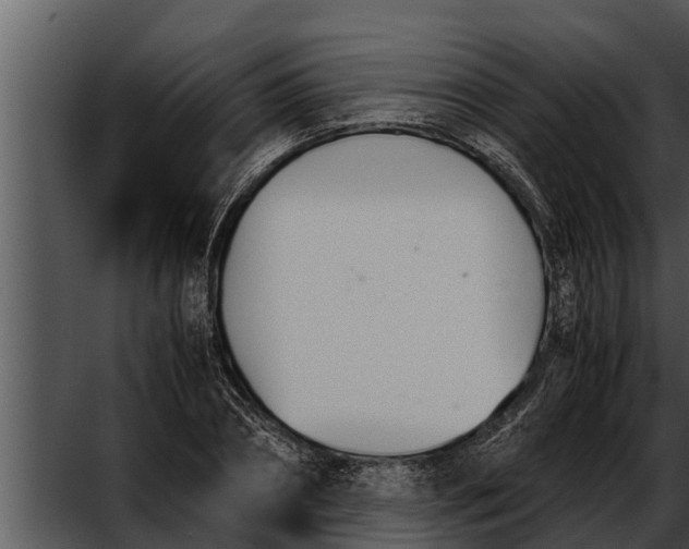 X0000052610882200507160034