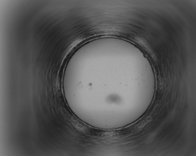 X0000052610883200507160034