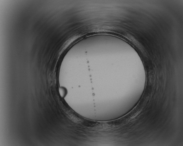 X0000052610885200507160034