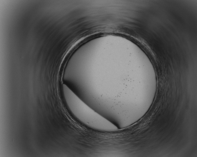 X0000052610887200507160034