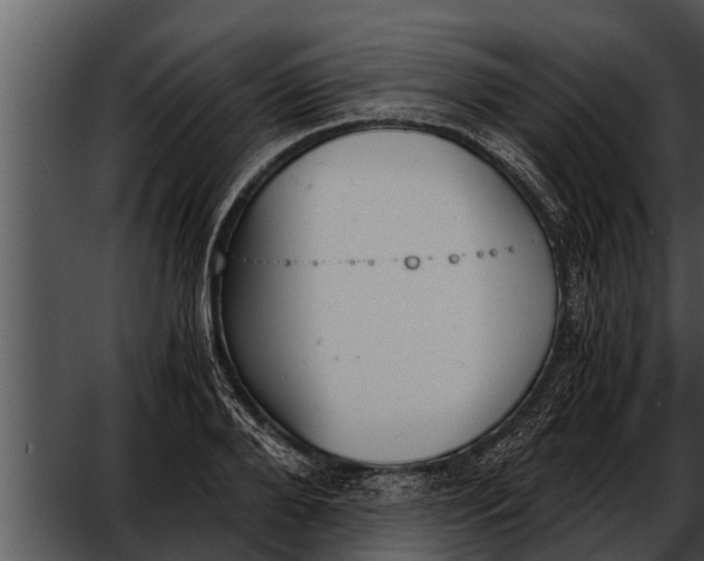 X0000052610888200507160034