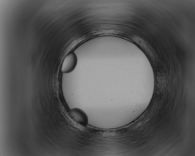 X0000052610890200507160034