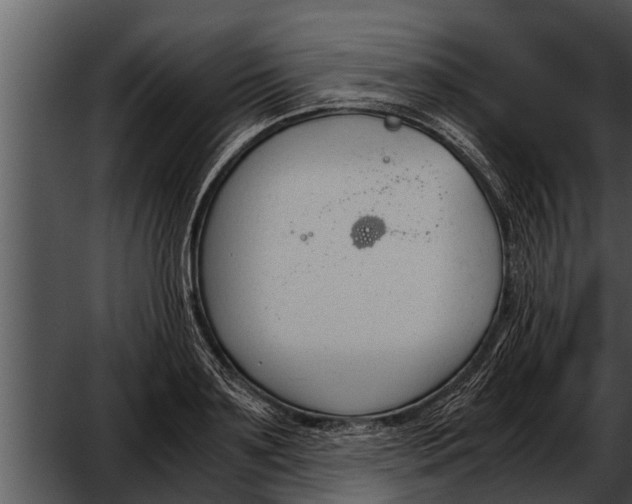 X0000052610891200507160034