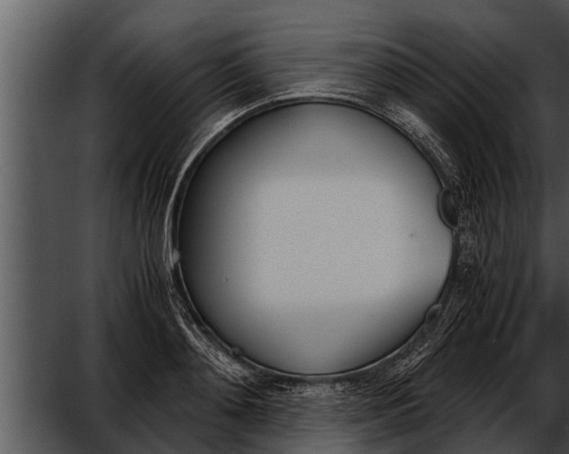 X0000052610892200507160034