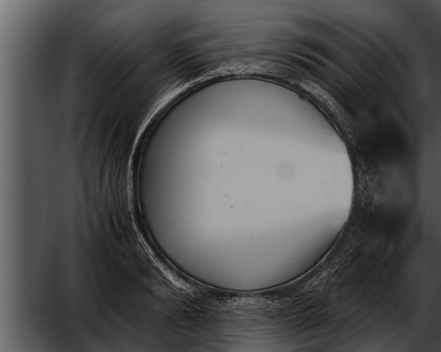 X0000052610894200507160034