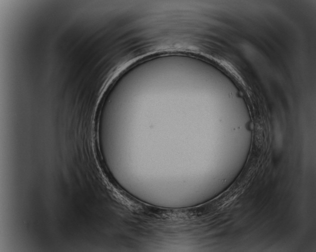 X0000052610895200507160034