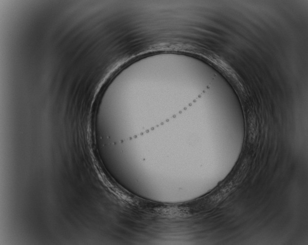 X0000052610896200507160034