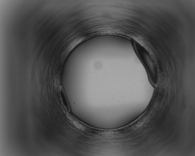 X0000052610897200507160034