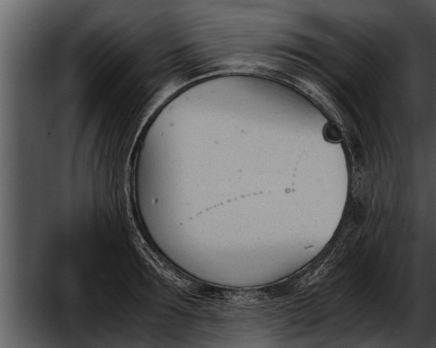 X0000052610899200507160034