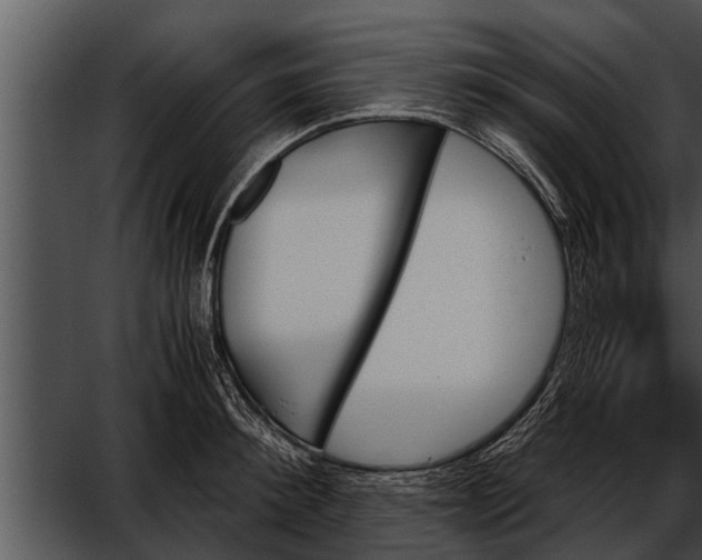 X0000052610900200507160034