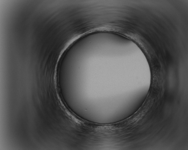 X0000052610902200507160034