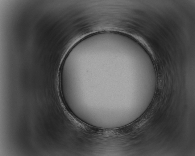 X0000052610903200507160034