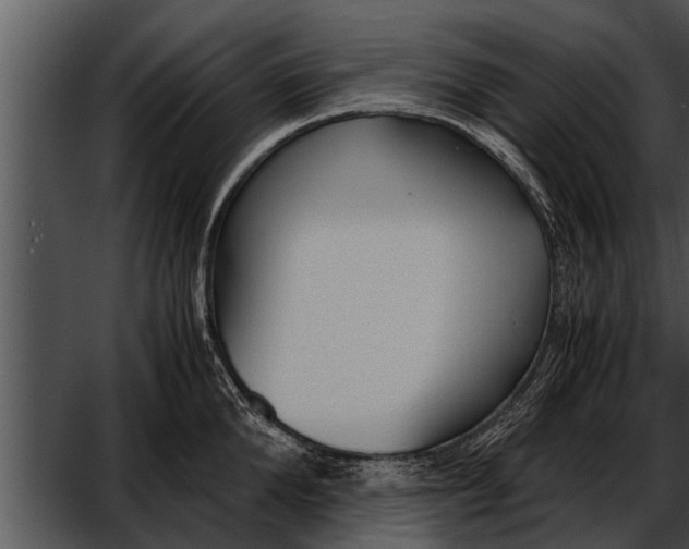 X0000052610904200507160034