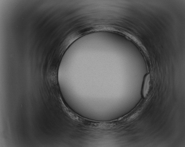 X0000052610905200507160034