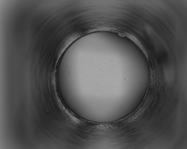 X0000052610906200507160034