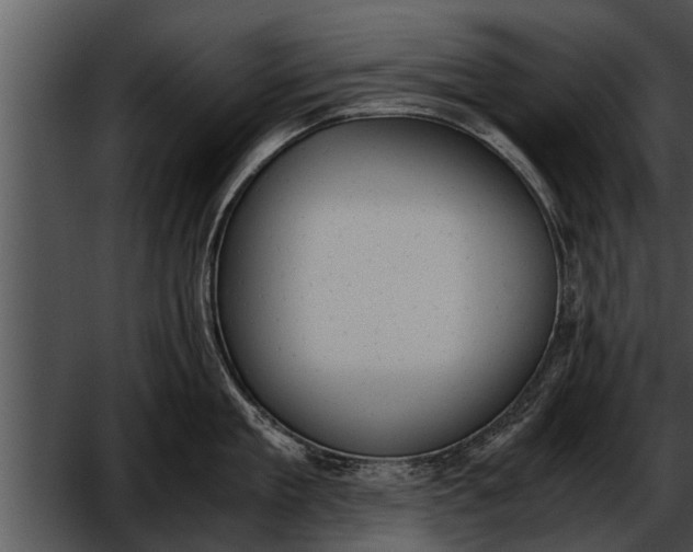 X0000052610909200507160034