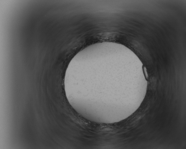 X0000052610913200507160033