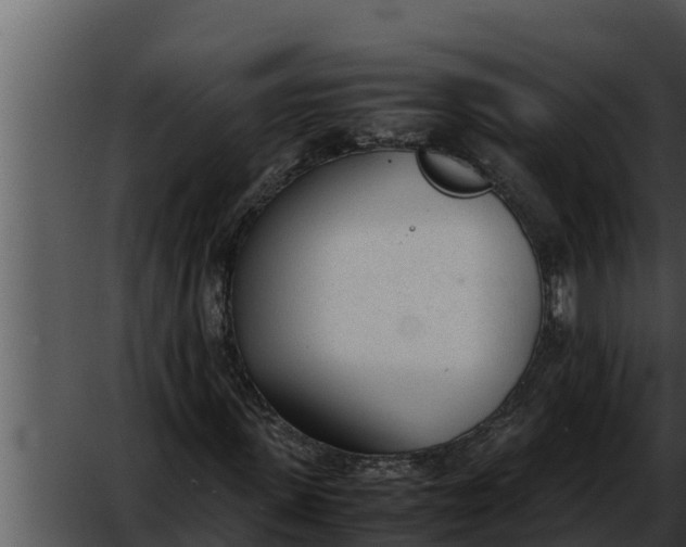 X0000052610915200507160033