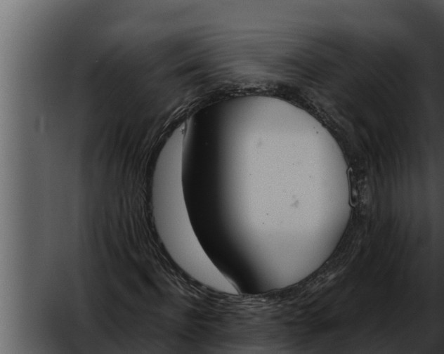 X0000052610916200507160033