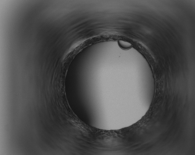 X0000052610919200507160033