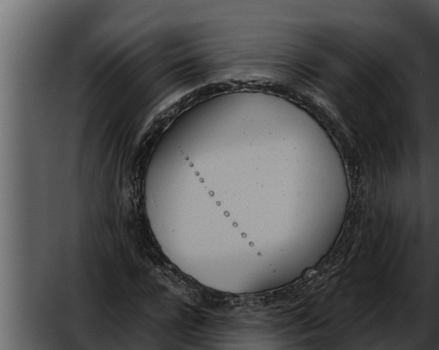 X0000052610920200507160033