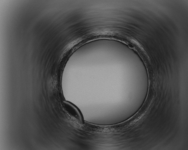 X0000052610922200507160033