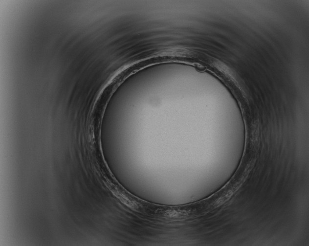 X0000052610923200507160033