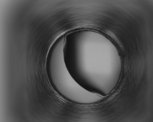 X0000052610924200507160033