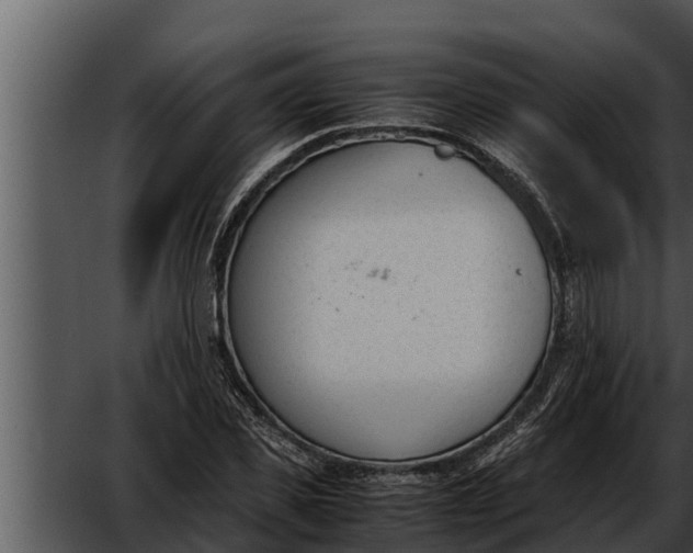 X0000052610925200507160033