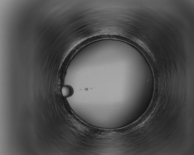 X0000052610926200507160033