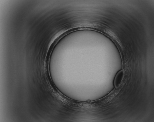 X0000052610928200507160033