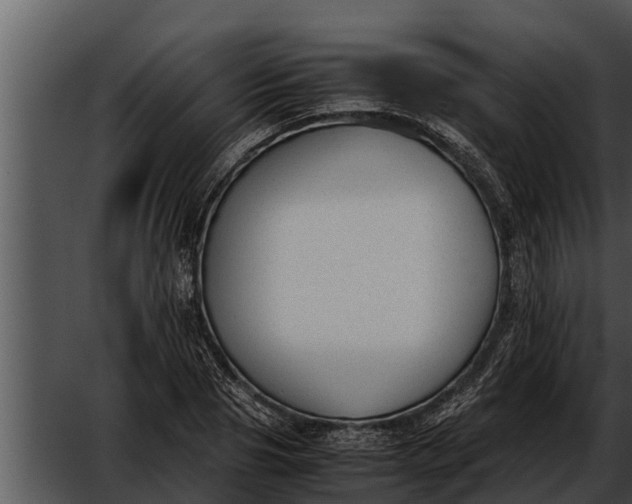 X0000052610929200507160033