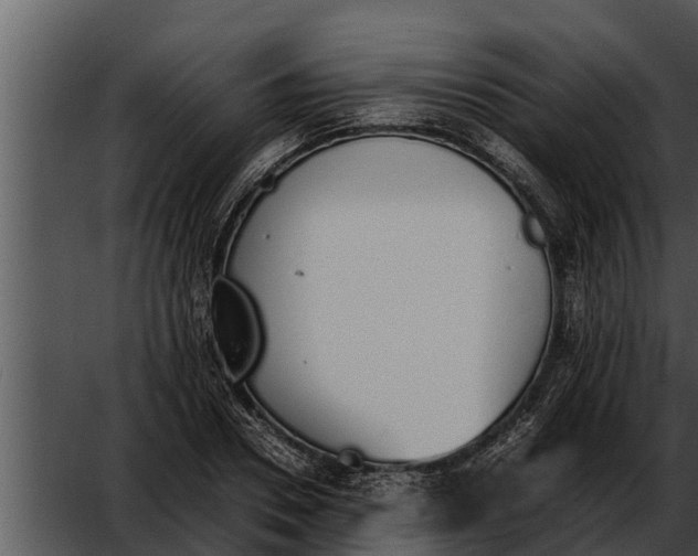 X0000052610930200507160033