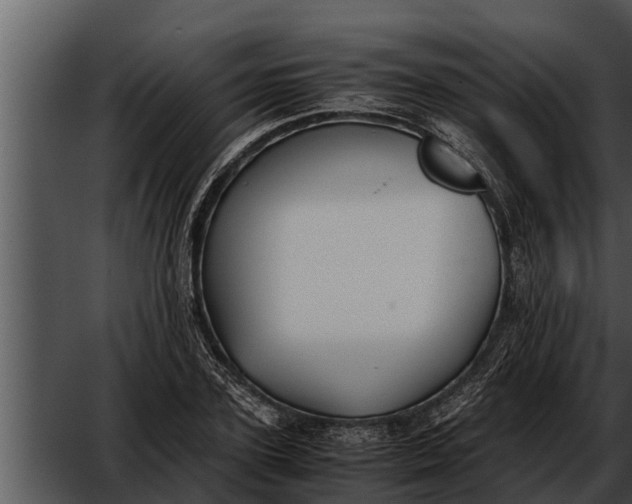 X0000052610931200507160033