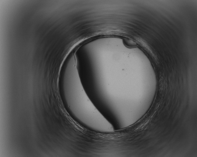 X0000052610932200507160033