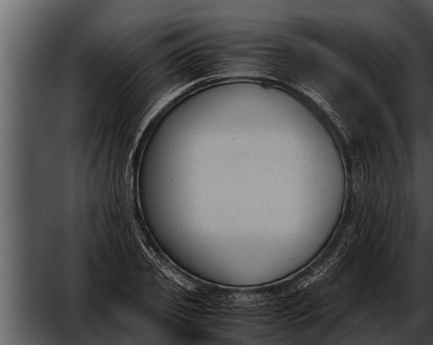 X0000052610933200507160033