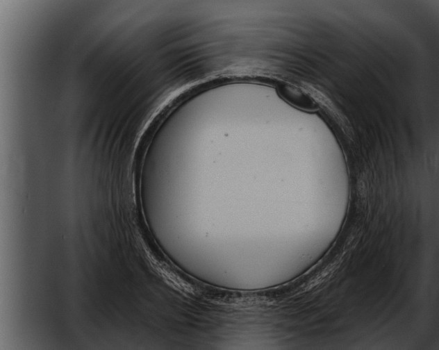 X0000052610934200507160033