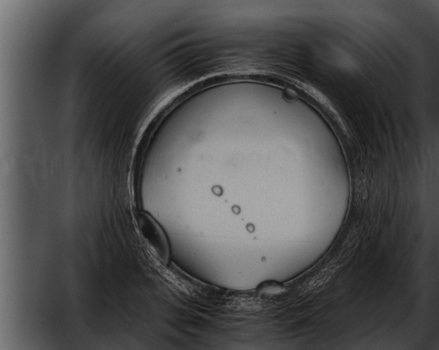 X0000052610935200507160033