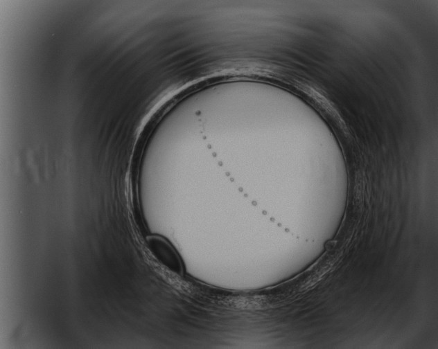 X0000052610936200507160033