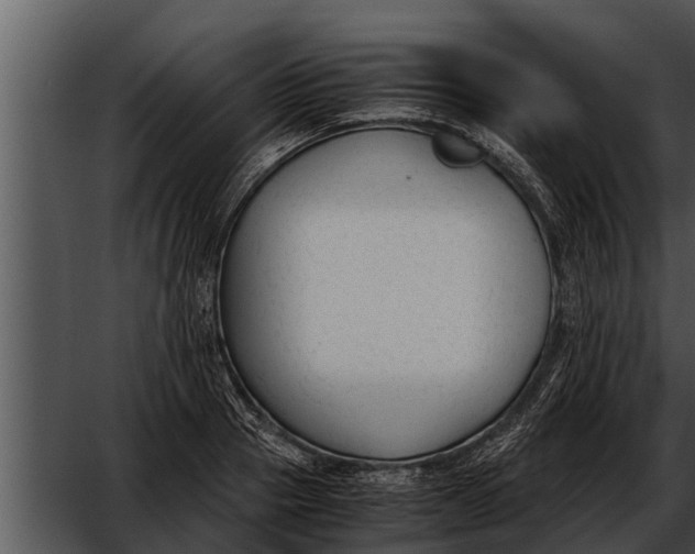 X0000052610937200507160033