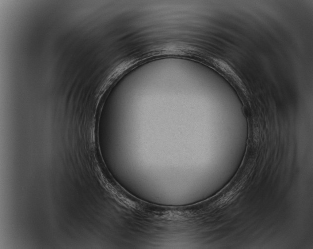 X0000052610938200507160033