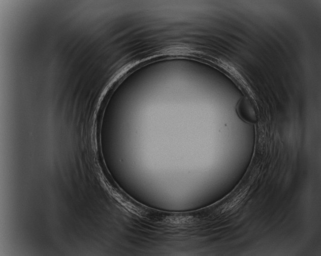 X0000052610939200507160033